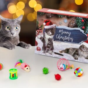 Julekalender med Kattelegetøj